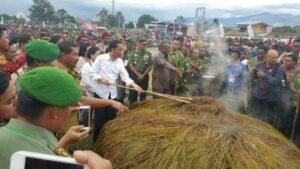 Presiden RI Ir. H. Joko Widodo Bakar Batu di Wamena