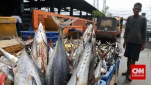 Akibat Pencurian Ikan,Indonesia Merugi US$ 25 Miliar 