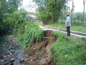 Puluhan Hektar Sawah di Kabupaten OKU Terancam Gagal Tanam