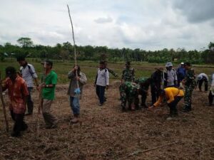 Petani PALI Bersama TNI Tanam Padi Serentak