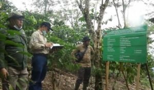 Pulihkan Fungsi Hutan dan Lahan, Ini yang Dilakukan BPDAS Ketahun