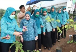 Kunjungi Lahat, Ketua PKK Sumsel Puji Keberadaan Kebun Toga PKK di Desa Keban