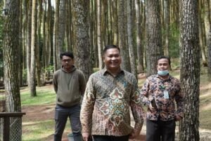 Pemanfaatan Kawasan Hutan di Babel, Adet Mastur: Pansus Akan Mengeluarkan Rekomendasi