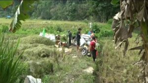 300 Hektar Lahan Sawah Ditargetkan Ikuti Program Asuransi Usaha Tani Padi