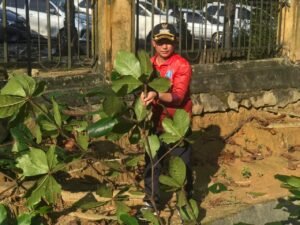 Setiap Kelurahan Diminta Sediakan Mobil Pengangkut Sampah