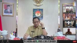 Mendagri Berikan Catatan atas Kinerja Penjabat Kepala Daerah