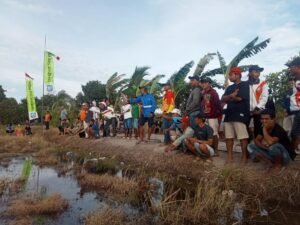 70 Pasang Merpati Ikuti Lomba Merpati Balap Sprint Batubetumpang