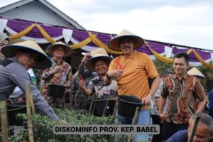 Panen Cabai di Puding Besar, Pj Gubernur Dorong Masyarakat Lebih Bersemangat Bertani