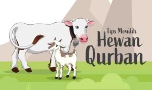 Cegah Sapi Terkena PMK, Dinas Pertanian Palembang Pantau Hewan Kurban