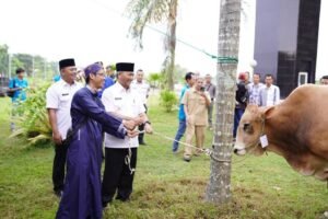 Pj Bupati Muba Salurkan Bantuan Hewan Kurban Sapi Limosin dan Brahman