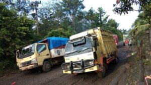 Walhi Minta Ketegasan Gubernur Terkait Angkutan Batubara di Kabupaten PALI